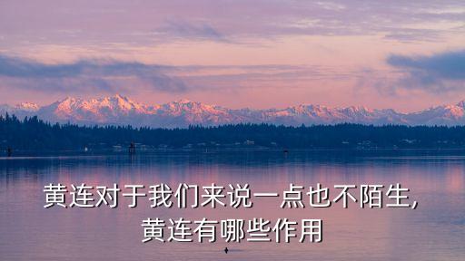 黃連的作用,黃連的功效與作用有哪些?