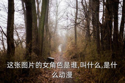 尋找遺失的未來,尋找lost未來改編自日本同名電玩游戲