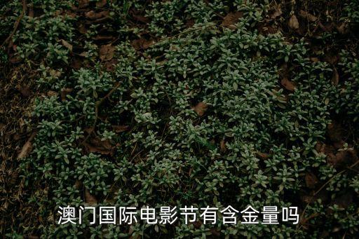 澳門國際電影節有含金量嗎