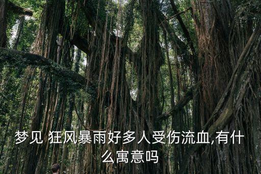 夢見 狂風暴雨好多人受傷流血,有什么寓意嗎