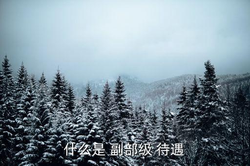 副部級退休待遇,副部級干部退休家屬有工資嗎?