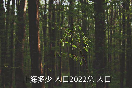  上海多少 人口2022總 人口