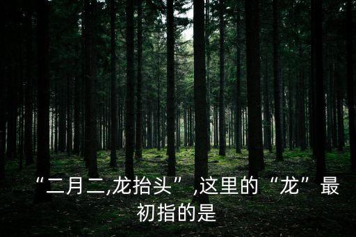 “二月二,龍抬頭”,這里的“龍”最初指的是