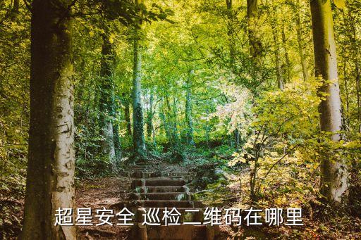 安全巡檢,消防安全日報巡檢需貼二維碼