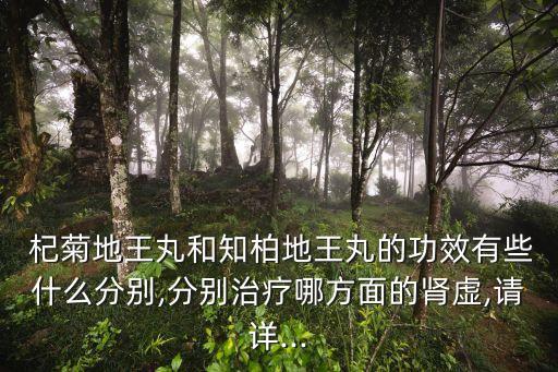 杞菊地黃丸說明書,一文讀懂!防止您過敏的藥物是什么?