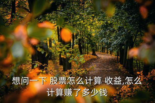 想問(wèn)一下 股票怎么計(jì)算 收益,怎么計(jì)算賺了多少錢