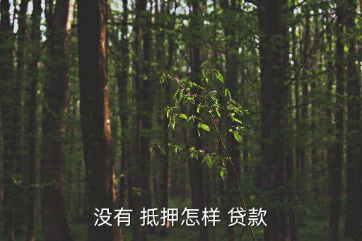 無任何抵押貸款,銀行可辦理無抵押貸款嗎?
