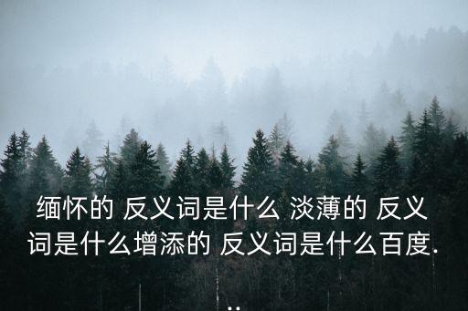 緬懷的 反義詞是什么 淡薄的 反義詞是什么增添的 反義詞是什么百度...