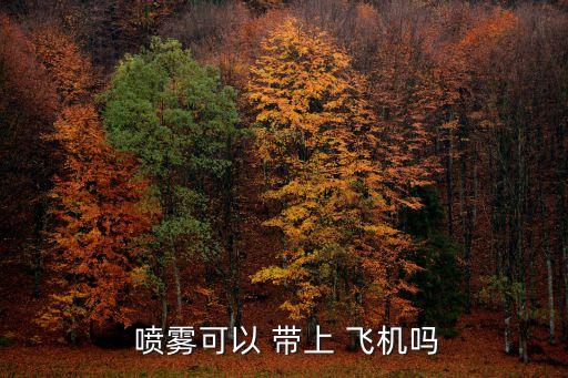 噴霧能帶上飛機嗎,免洗啫喱能不能帶上飛機?酒精易燃只能托運