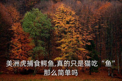 美洲虎捕食鱷魚,真的只是貓吃“魚”那么簡單嗎