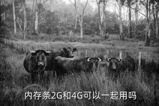 4g內(nèi)存條,兩根4g內(nèi)存條怎么用?