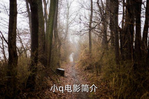 導盲犬小q下載,【電影《小q》講述服務犬小q的故事