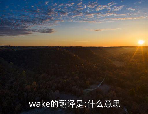  wake的翻譯是:什么意思