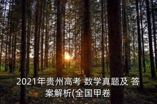 數學答案,貴州高考數學真題和答案分析