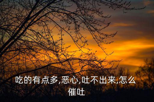 吃的有點多,惡心,吐不出來,怎么 催吐