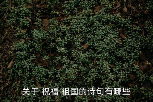 關(guān)于 祝福 祖國的詩句有哪些