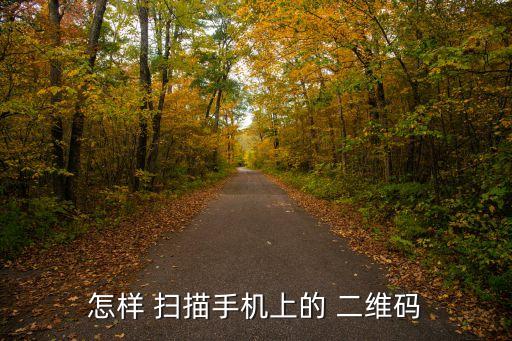 掃描二維碼,新加坡大選】首次使用微信掃描二維碼投票系統(tǒng)