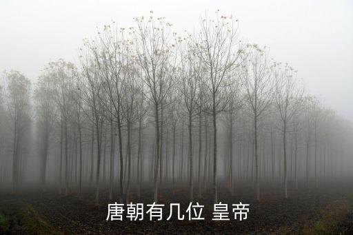  唐朝有幾位 皇帝