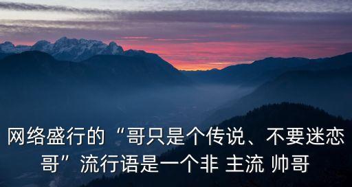 網絡盛行的“哥只是個傳說、不要迷戀哥”流行語是一個非 主流 帥哥