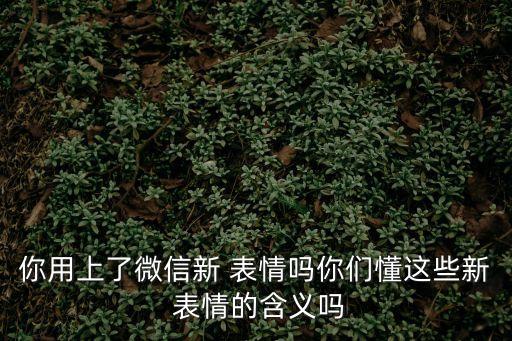 你用上了微信新 表情嗎你們懂這些新 表情的含義嗎