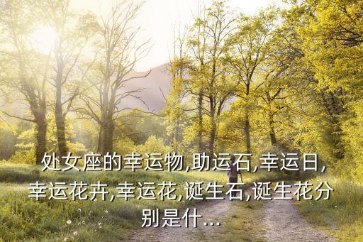 處女義工,幸運寶石:水瓶座對人友好重視隱私屬性優良