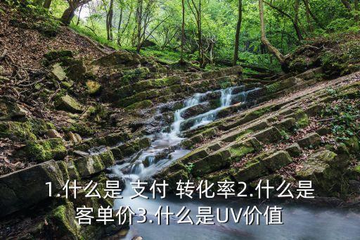1.什么是 支付 轉化率2.什么是客單價3.什么是UV價值