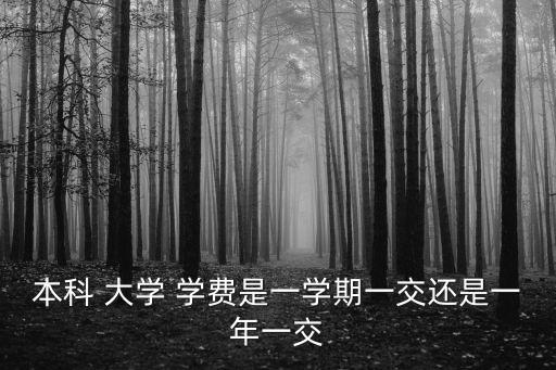 本科 大學 學費是一學期一交還是一年一交