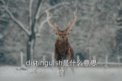  distinguish是什么意思啊
