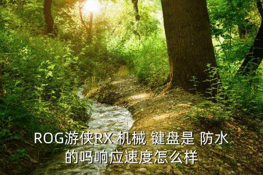 ROG游俠RX 機械 鍵盤是 防水的嗎響應速度怎么樣