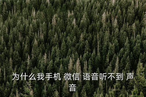 微信語音沒聲音,微信語音為什么沒有聲音?