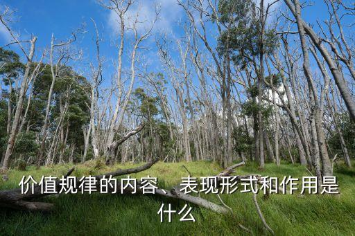 什么是價值規律,什么是價值規律,價值鏈條是什么?