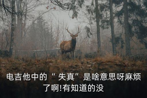 失真是什么意思,吉他失真是什么意思?