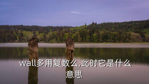  wall多用復數么,此時它是什么意思