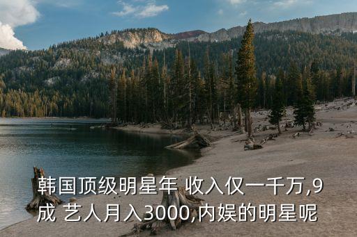  韓國頂級明星年 收入僅一千萬,9成 藝人月入3000,內娛的明星呢