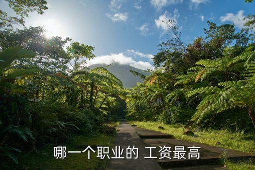 哪一個職業的 工資最高