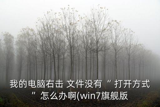 文件打開方式,如何取消默認(rèn)打開文件方式文件格式的