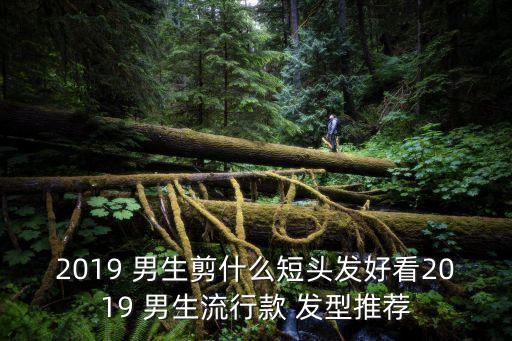 2019 男生剪什么短頭發(fā)好看2019 男生流行款 發(fā)型推薦