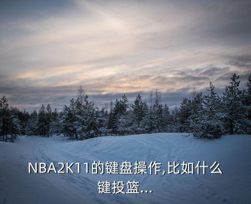 NBA2K11的鍵盤(pán)操作,比如什么鍵投籃…