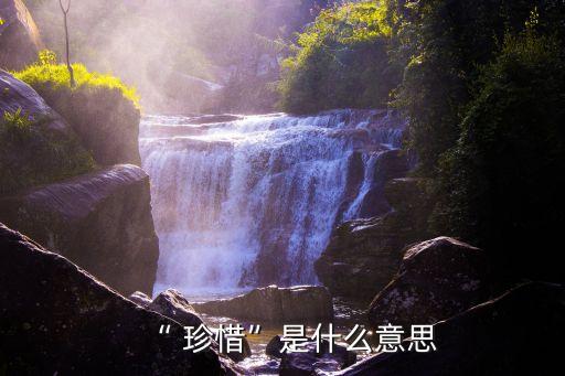 “ 珍惜”是什么意思
