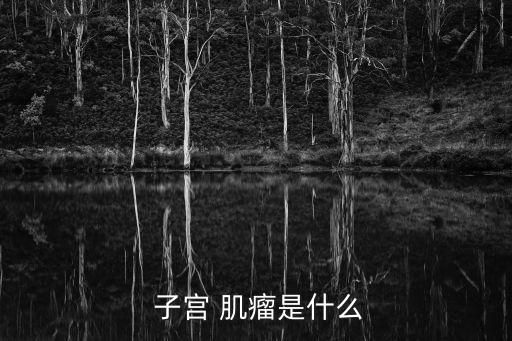  子宮 肌瘤是什么