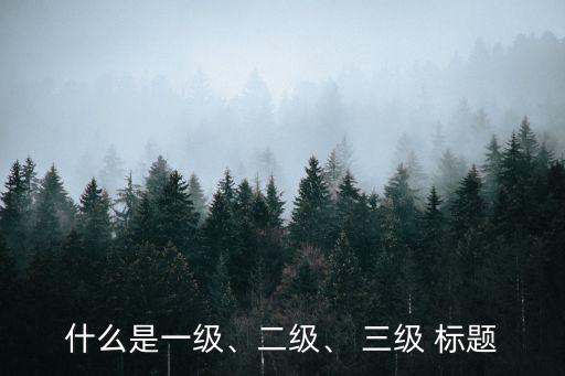 三級標題,什么是一級、二級、三級標題?