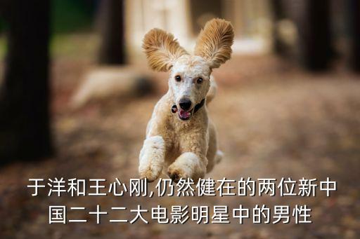  于洋和王心剛,仍然健在的兩位新中國二十二大電影明星中的男性