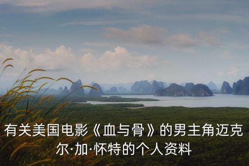 有關美國電影《血與骨》的男主角邁克爾·加·懷特的個人資料