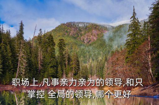 職場上,凡事親力親為的領導,和只 掌控 全局的領導,哪個更好