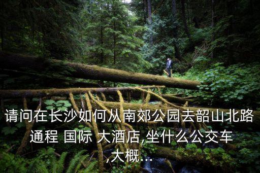 通程國際大酒店,到達益陽通程國際大酒店需要多少步?