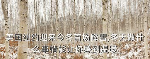 美國大雪,美國迎來十年最大降雪為何引發大面積斷電?