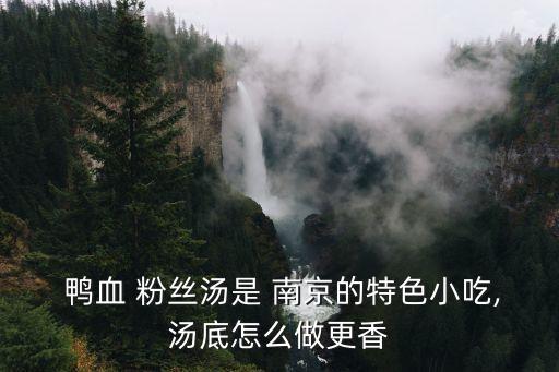  鴨血 粉絲湯是 南京的特色小吃,湯底怎么做更香