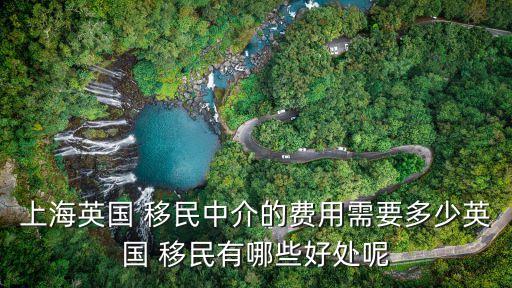 上外移民,上海移民業內航母實力不可小覷簽證有多好?