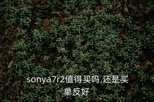 sonya7r2,索尼手機(jī)設(shè)置黑白模式步驟如下