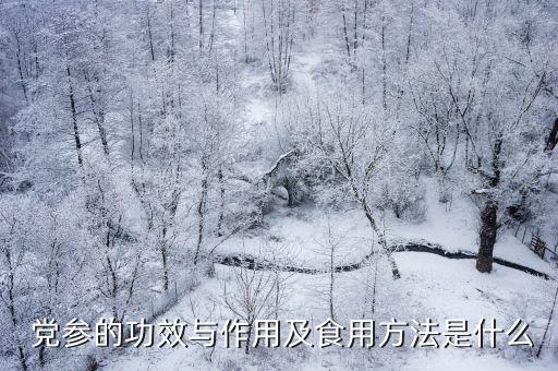 黨參的功效與作用,這些參與了什么活動?